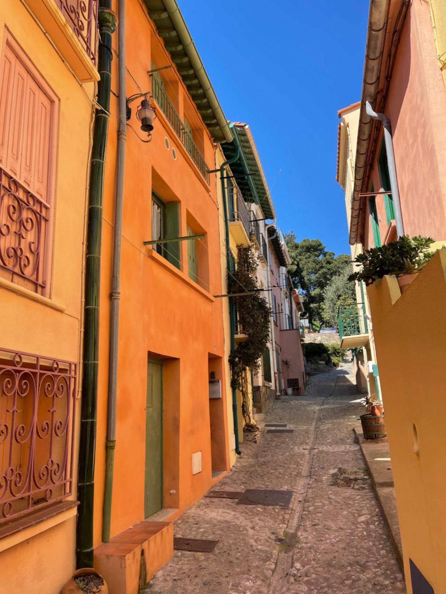 Dans Le Quartier Recherché Du Mouré * Collioure